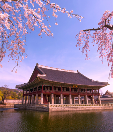 Du lịch Hàn Quốc tháng 4: Tổng hợp kinh nghiệm và địa điểm hấp dẫn