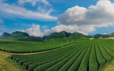 TOUR 2026 SAPA - LAI CHÂU - ĐIỆN BIÊN - MỘC CHÂU - MAI CHÂU