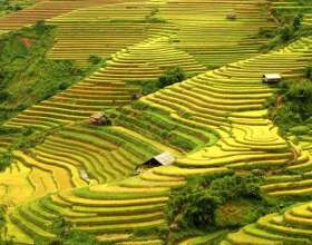 Các điểm du lịch Mù Cang Chải không thể bỏ lỡ