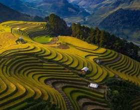 Tour Mù Cang Chải: Khi nào nên đặt trọn gói thay vì tự túc?