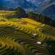Tour Mù Cang Chải: Khi nào nên đặt trọn gói thay vì tự túc?
