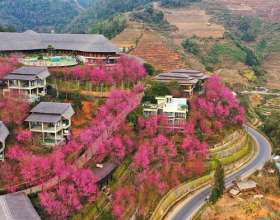 Resort Mù Cang Chải: Nghỉ dưỡng cao cấp có đáng để trải nghiệm