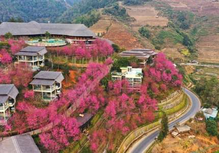 Resort Mù Cang Chải: Nghỉ dưỡng cao cấp có đáng để trải nghiệm