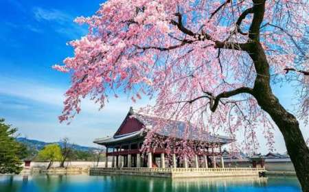 DU LỊCH TÂM LINH YÊN TỬ - CHÙA ĐỒNG