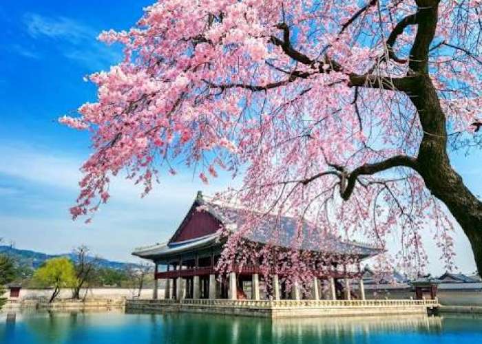 DU LỊCH 2026 HÀ NỘI – NHA TRANG – NINH THUẬN - HÀ NỘI