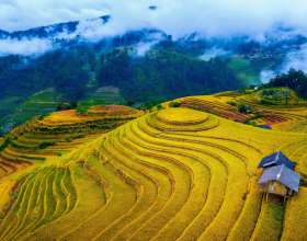 Mù Cang Chải Ở Đâu? Cách Di Chuyển Từ Hà Nội Chi Tiết Nhất
