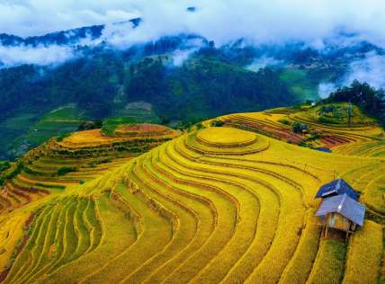 Mù Cang Chải Ở Đâu? Cách Di Chuyển Từ Hà Nội Chi Tiết Nhất