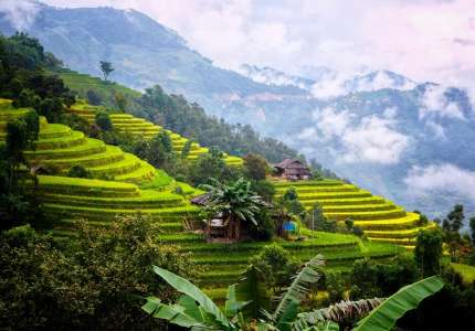 Chiêm ngưỡng vẻ đẹp Núi Ngọc Linh mùa lúa chín 