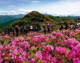 Kinh nghiệm du lịch Hàn Quốc tháng 5
