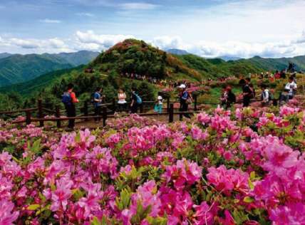 Kinh nghiệm du lịch Hàn Quốc tháng 5