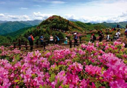 Kinh nghiệm du lịch Hàn Quốc tháng 5