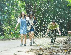 Du lịch mùa bướm Cúc Phương