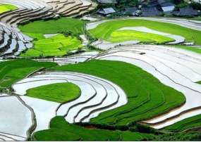 KHÁM PHÁ SAPA - MOANA - FANSIPAN - BẢN CÁT CÁT - CHỢ BẮC HÀ