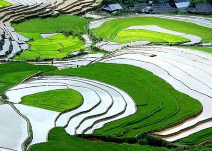 KHÁM PHÁ SAPA - MOANA - FANSIPAN - BẢN CÁT CÁT - CHỢ BẮC HÀ