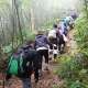 Trekking Tam Đảo và khám phá đỉnh Rùng Rình tuyệt đẹp