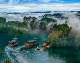 Hồ Bảo Phong Trương Gia Giới