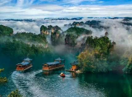 Hồ Bảo Phong Trương Gia Giới