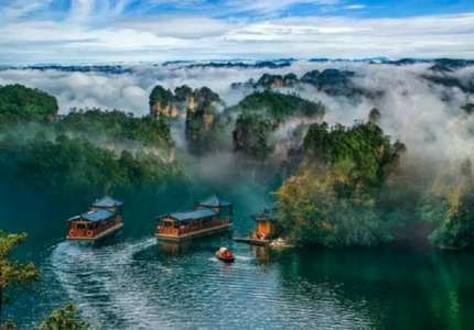 Hồ Bảo Phong Trương Gia Giới