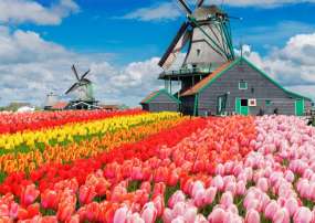 Tour Châu Âu Đức - Hà Lan -Bỉ - Luxembourg - Pháp 9 Ngày 8 Đêm (Bay Thẳng VietnamAirlines)