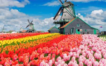 Tour Châu Âu Đức - Hà Lan -Bỉ - Luxembourg - Pháp 9 Ngày 8 Đêm (Bay Thẳng VietnamAirlines)