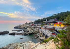 KHÁM PHÁ MÙA THU HÀN QUỐC: BUSAN - SEOUL - NAMI