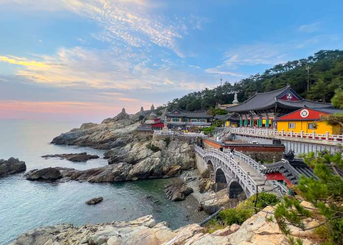 KHÁM PHÁ MÙA THU HÀN QUỐC: BUSAN - SEOUL - NAMI