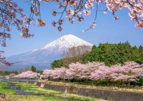 NHẬT BẢN: TOKYO - PHÚ SỸ - NAGOYA - KYOTO