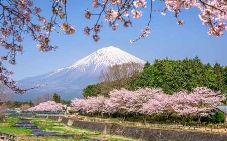 NHẬT BẢN: TOKYO - PHÚ SỸ - NAGOYA - KYOTO