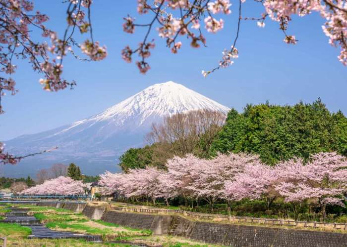 NHẬT BẢN: TOKYO - PHÚ SỸ - NAGOYA - KYOTO