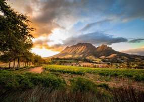 TOUR NAM PHI: CAPE TOWN - JOHANNESBURG - SAFARI 9N8Đ