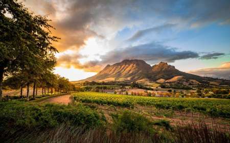 TOUR NAM PHI: CAPE TOWN - JOHANNESBURG - SAFARI 9N8Đ
