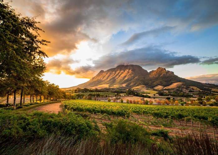TOUR NAM PHI: CAPE TOWN - JOHANNESBURG - SAFARI 9N8Đ