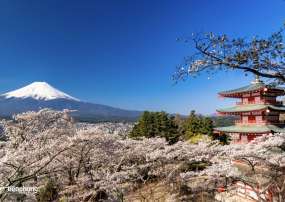 KHÁM PHÁ NHẬT BẢN: OSAKA - NARA - TOKYO 6N5Đ