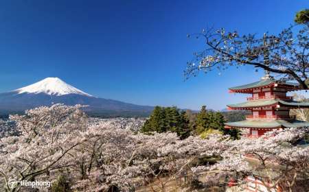 KHÁM PHÁ NHẬT BẢN: OSAKA - NARA - TOKYO 6N5Đ