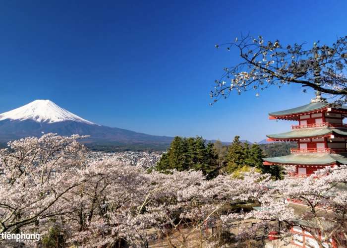 KHÁM PHÁ NHẬT BẢN: OSAKA - NARA - TOKYO 6N5Đ