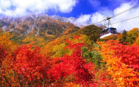 TOUR HOKKAIDO 2026 MÙA THU: SAPPORO - OTARU 6N5Đ