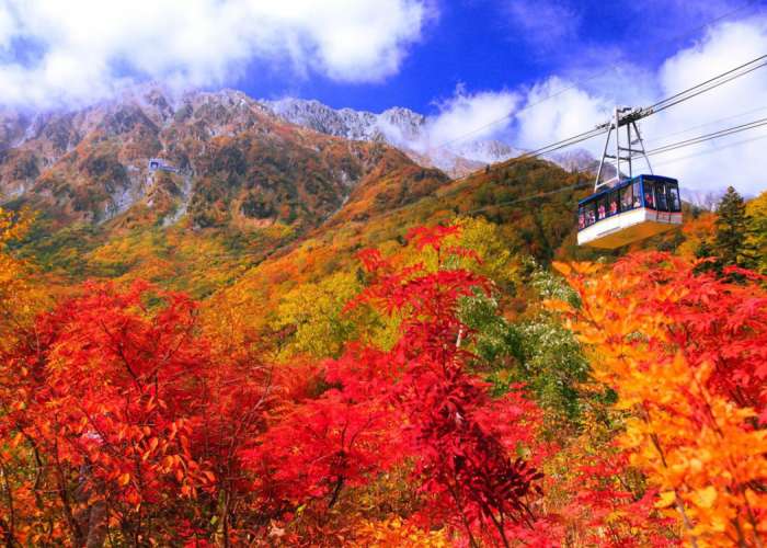 TOUR HOKKAIDO 2026 MÙA THU: SAPPORO - OTARU 6N5Đ