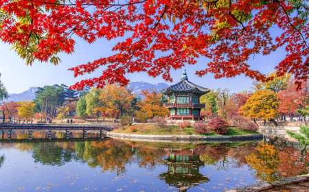 TOUR HÀN QUỐC 6N5Đ: SEOUL - BUSAN - ĐẢO NAMI