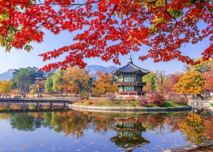 TOUR HÀN QUỐC 6N5Đ: SEOUL - BUSAN - ĐẢO NAMI