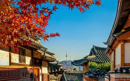 TOUR HÀN QUỐC MÙA THU 2026: NAMI - EVERLAND - HÁI TÁO