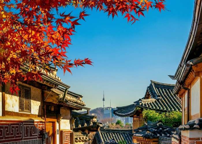 TOUR HÀN QUỐC MÙA THU 2026: NAMI - EVERLAND - HÁI TÁO