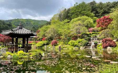 KHÁM PHÁ HÀN QUỐC HÈ 2026: SEOUL - NAMI - EVERLAND 5N4Đ