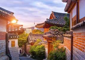 TOUR HÀN QUỐC 6N5Đ: BUSAN - SEOUL - CỎ HỒNG MUHLY