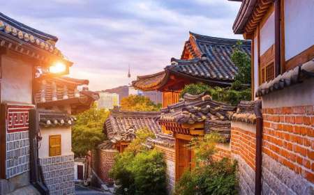TOUR HÀN QUỐC 6N5Đ: BUSAN - SEOUL - CỎ HỒNG MUHLY
