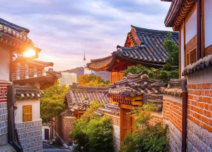 TOUR HÀN QUỐC 6N5Đ: BUSAN - SEOUL - CỎ HỒNG MUHLY