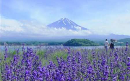 Tour Du Lịch Nhật Bản Từ Hà Nội 6 Ngày 5 Đêm (Bay VN)