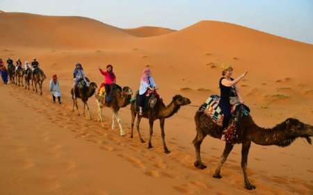 Tour Du Lịch Morocco 10 ngày 9 Đêm Từ Hà Nội