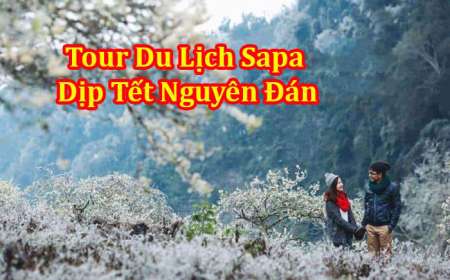 Tour Du Lịch Sapa - Moana - Cát Cát 2 Ngày 1 Đêm 
