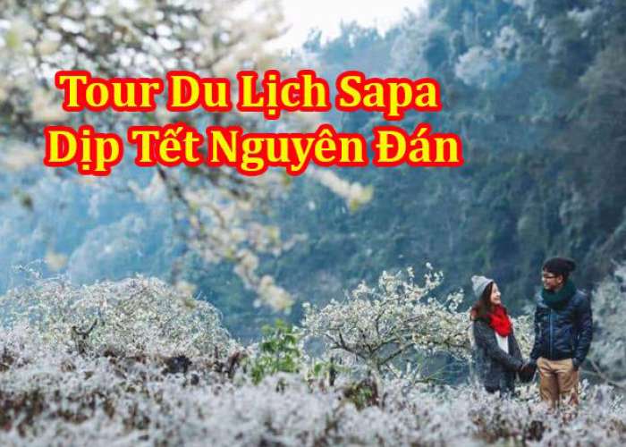 Tour Du Lịch Sapa - Moana - Cát Cát 2 Ngày 1 Đêm 