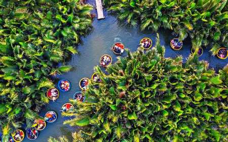 Du Lịch Rừng Dừa Bảy Mẫu 1 Ngày